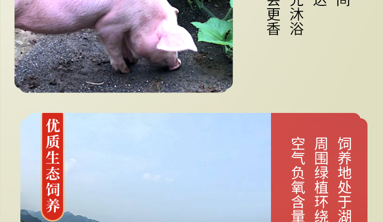 中国电子游艺网站下载安装
